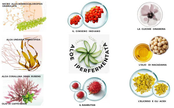 Olos Viso Concentrato Luce Idratante