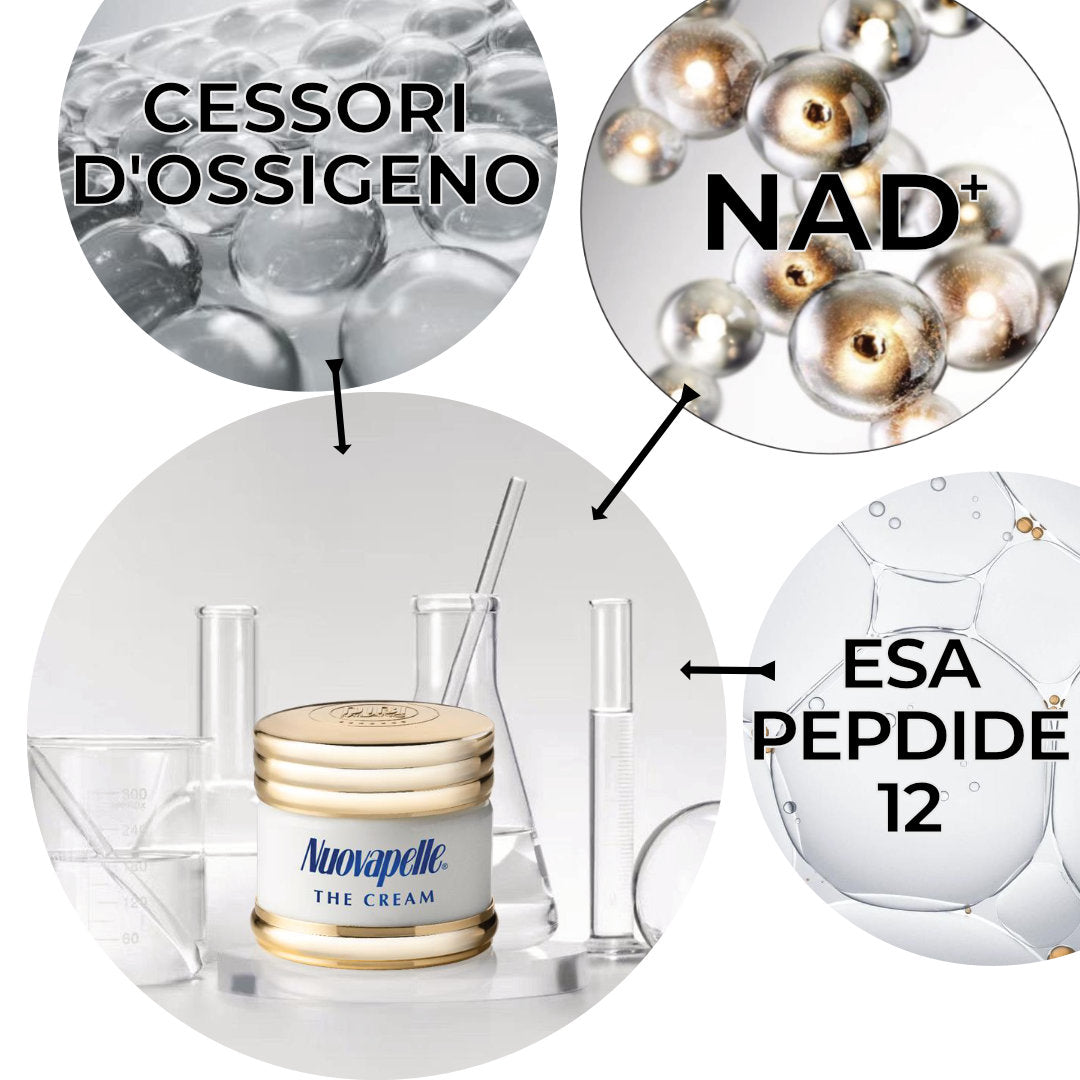 Nuovapelle The Cream