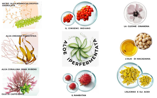 Olos Viso Crema Ristrutturante Di Giovinezza